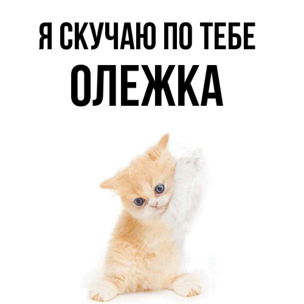 Открытка  с именем. олежка, Я скучаю по тебе  