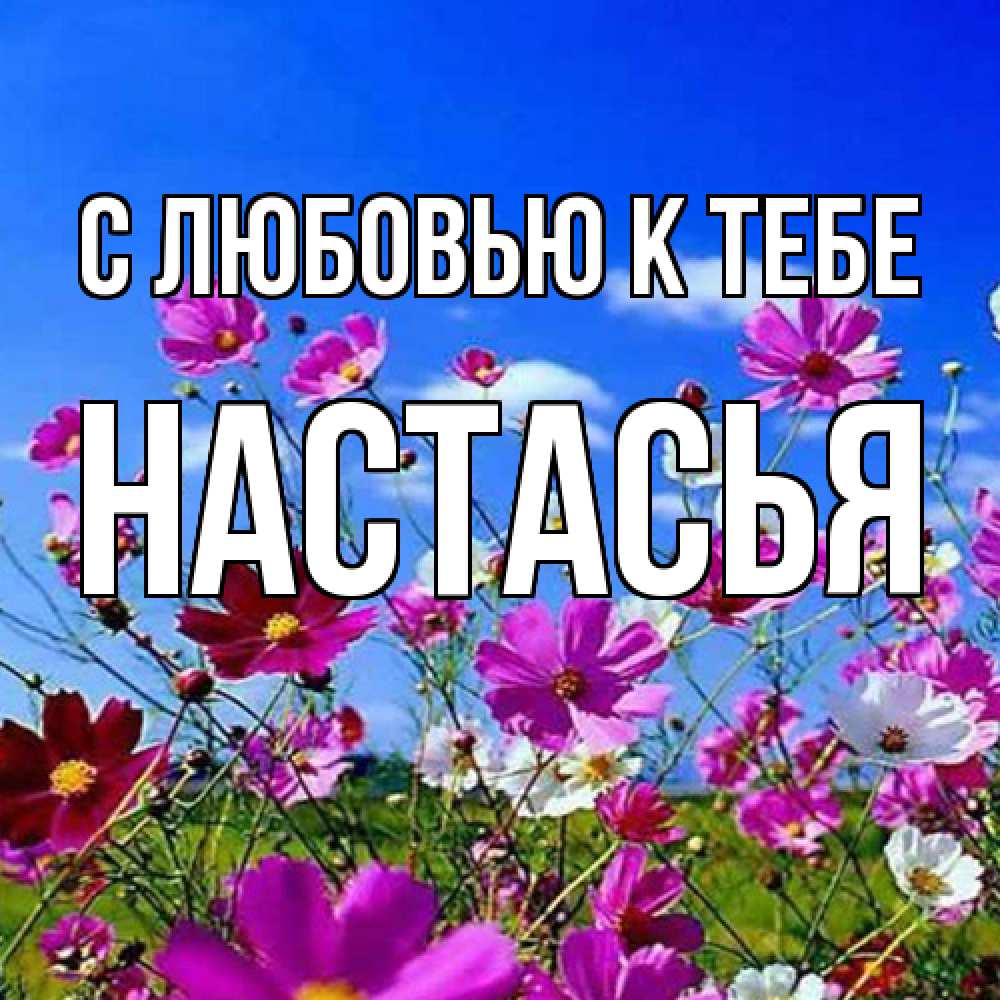 Открытка  с именем. Настасья, С любовью к тебе  