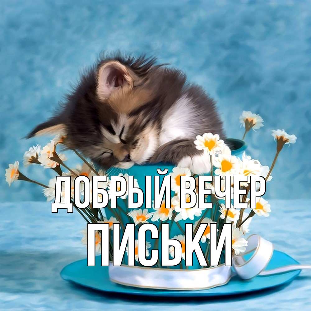 Открытка  с именем. Письки, Добрый вечер  