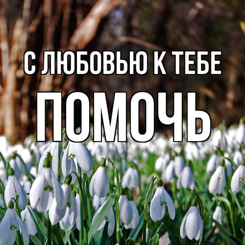 Картинка С любовью к тебе, Помочь