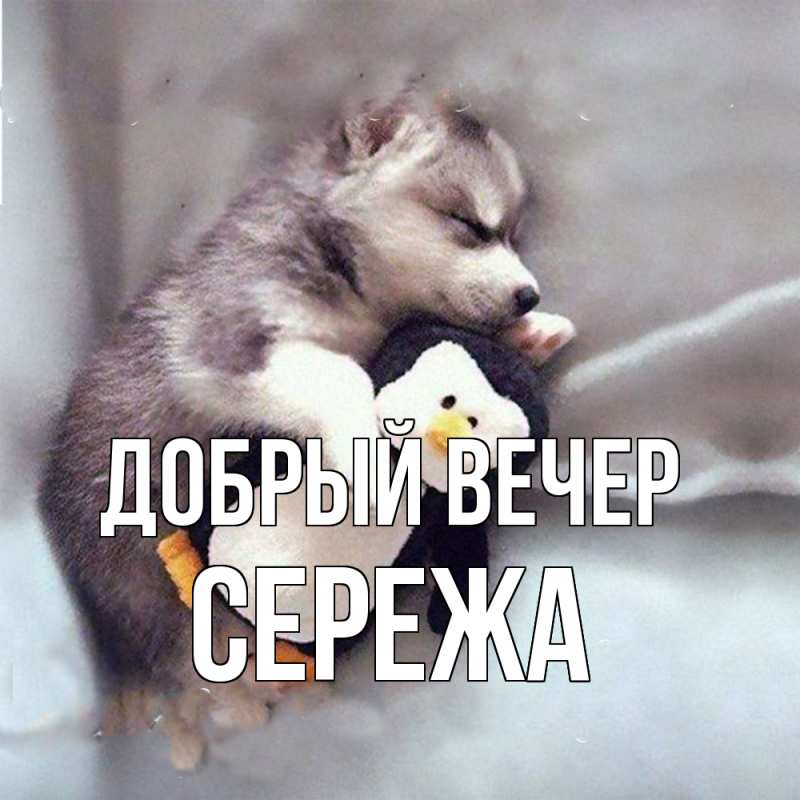 Картинка Добрый вечер, СЕРЕЖа