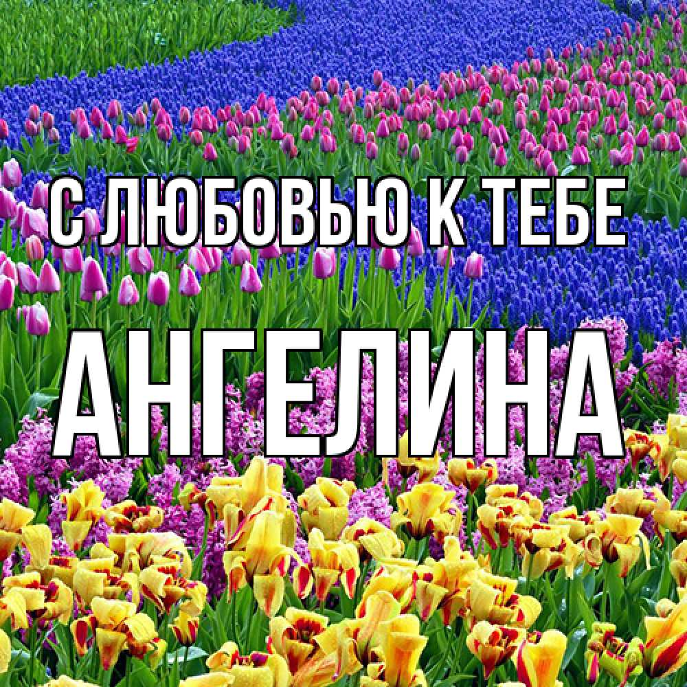 Открытка  с именем. Ангелина, С любовью к тебе  