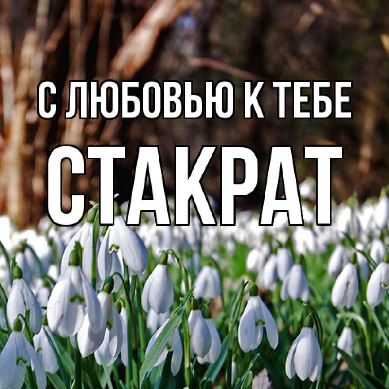 Картинка С любовью к тебе, Стакрат