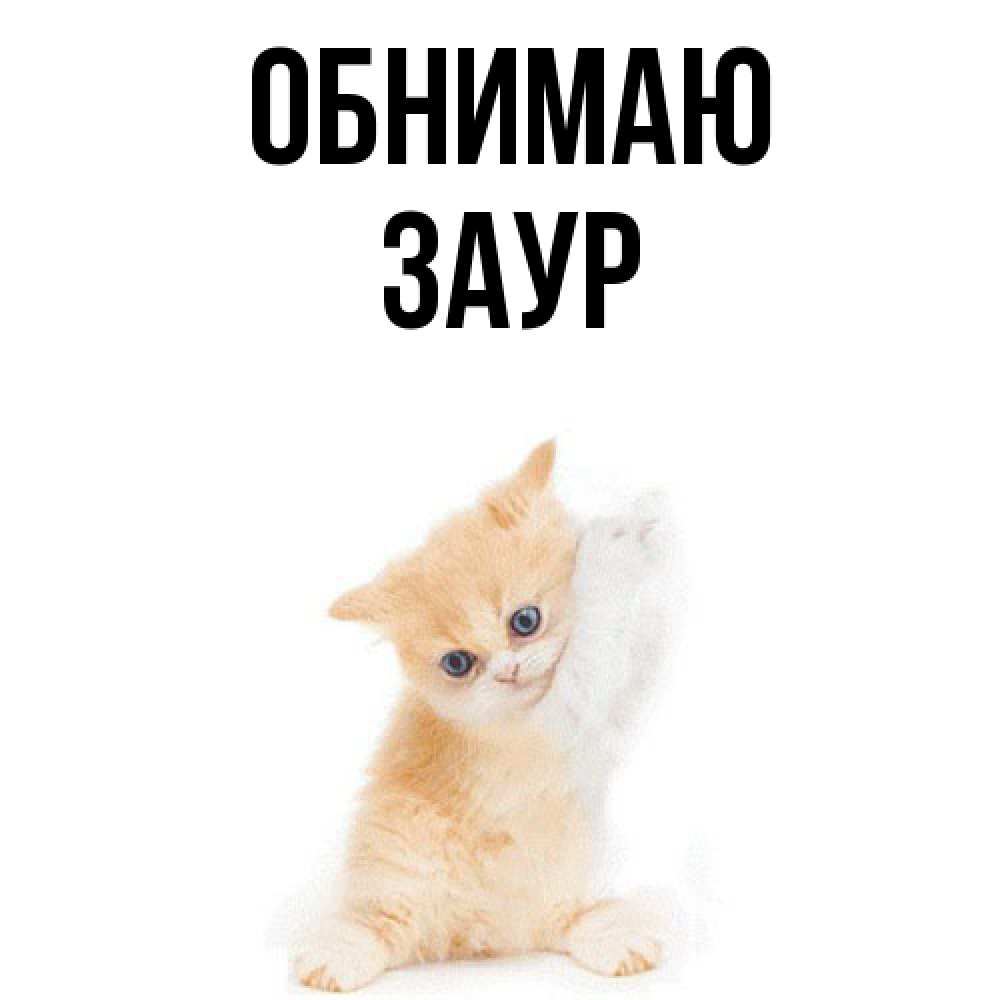 Открытка  с именем. Заур, Обнимаю  