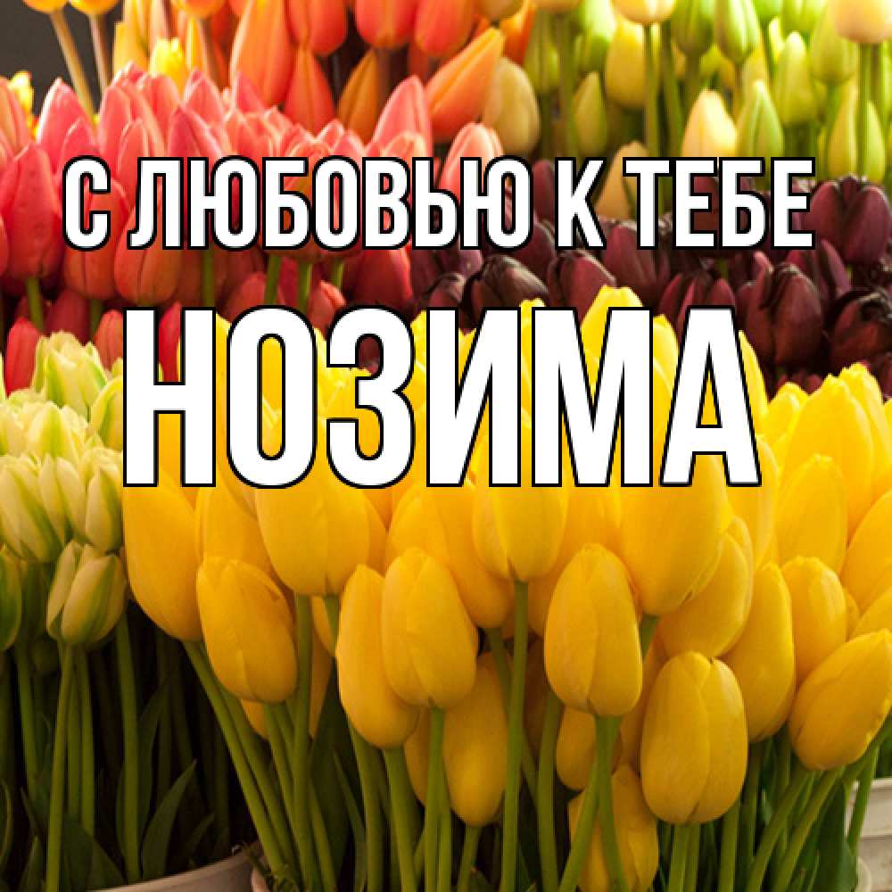 Открытка  с именем. НОЗИМА, С любовью к тебе  