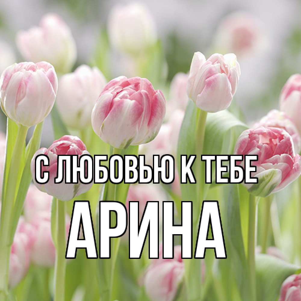 Открытка  с именем. Арина, С любовью к тебе  