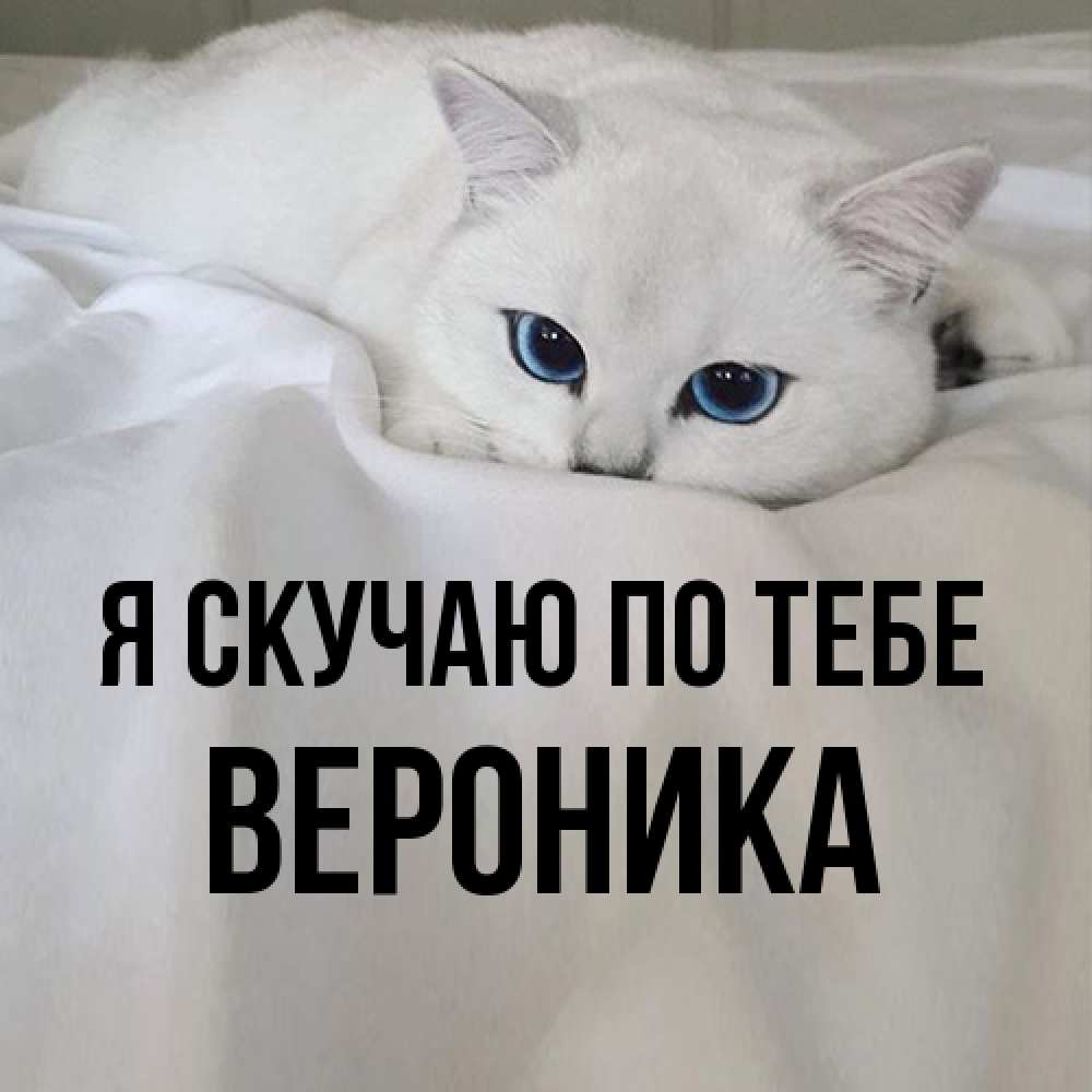 Открытка  с именем. Вероника, Я скучаю по тебе  