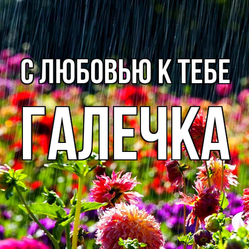 Открытка  с именем. Галечка, С любовью к тебе  