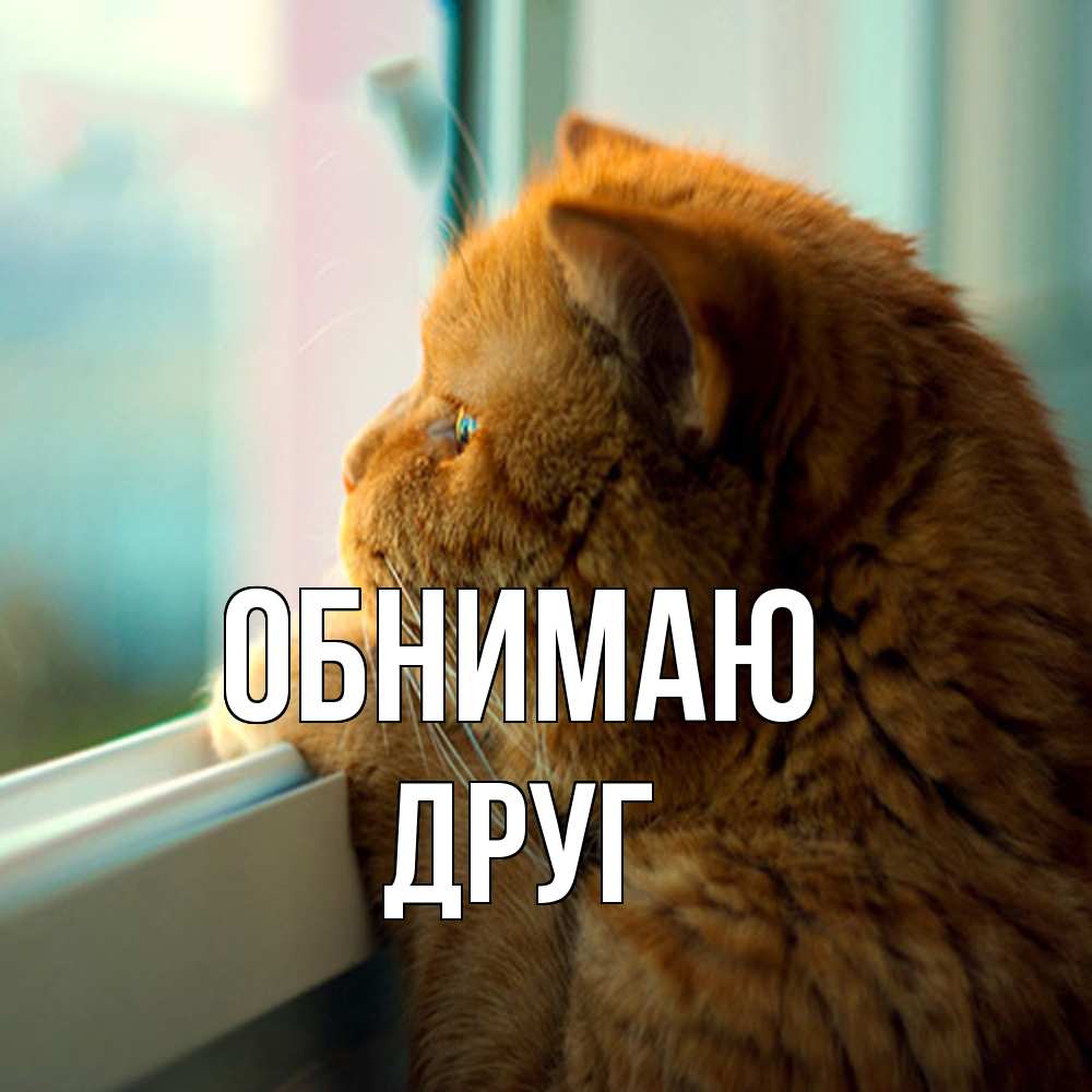 Открытка  с именем. ДРУГ, Обнимаю  