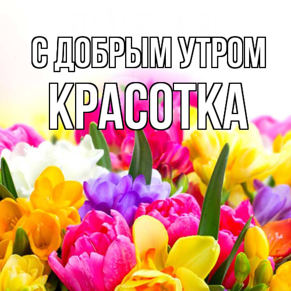 Открытка  с именем. Красотка, С добрым утром  