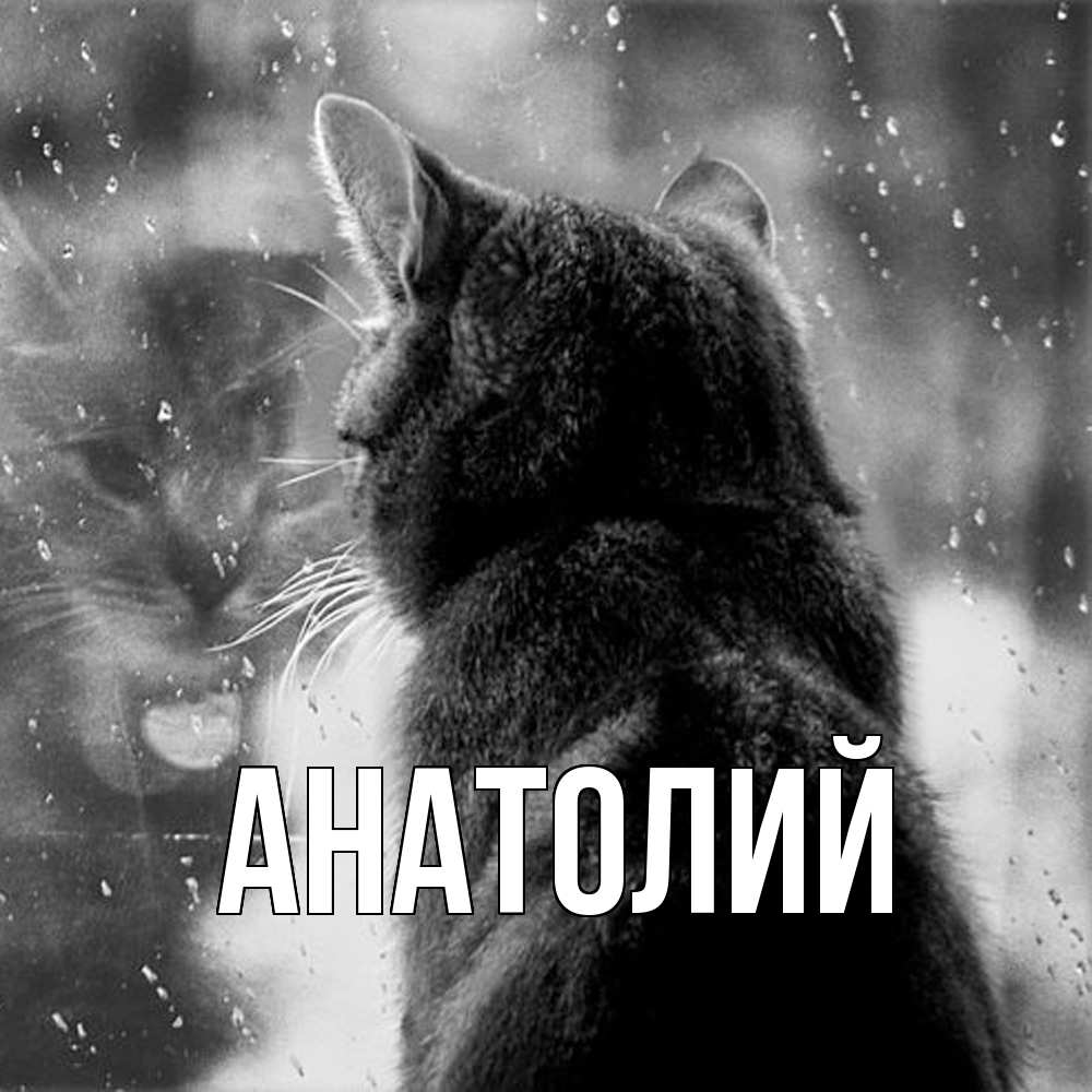 Открытка  с именем. Анатолий, Главная  