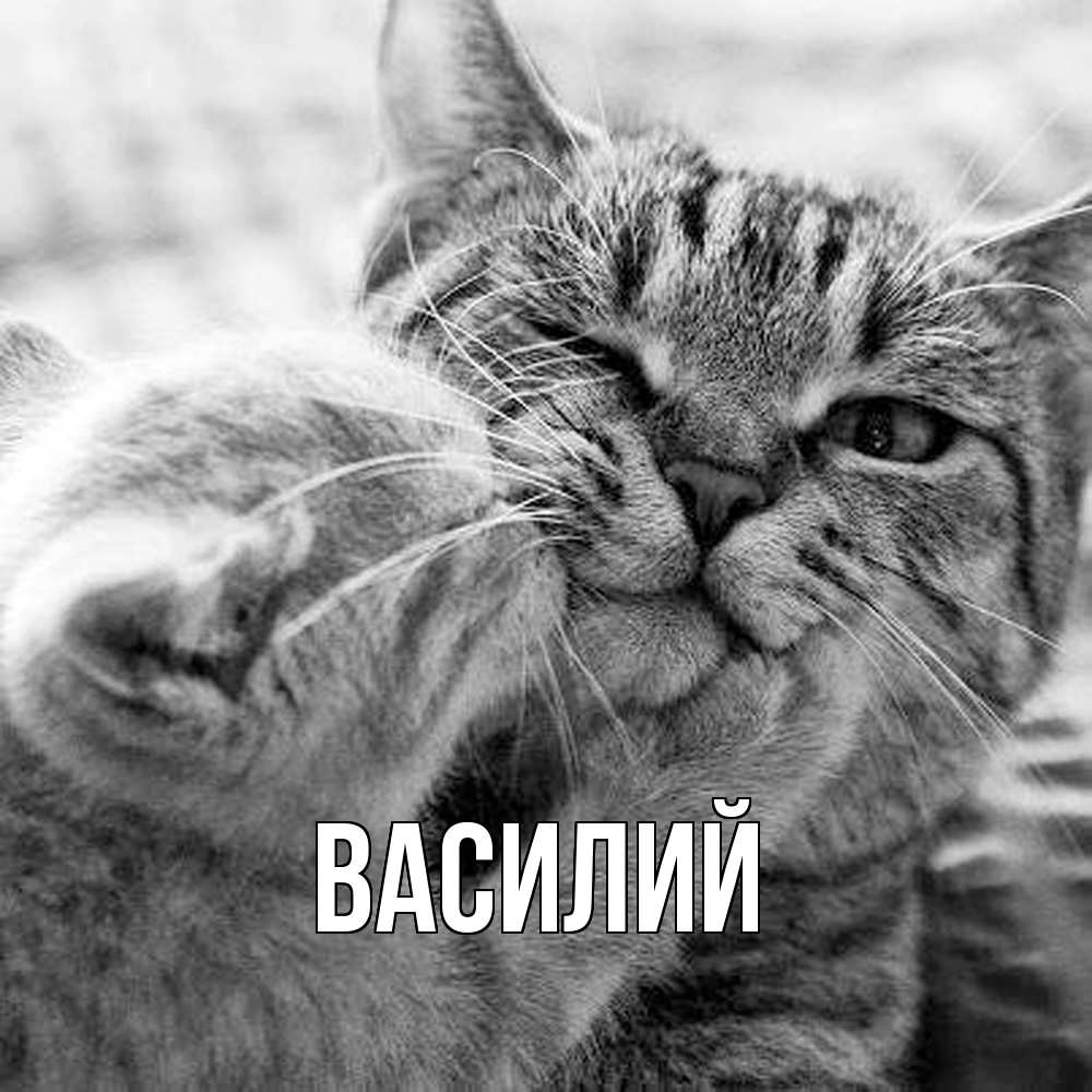 Открытка  с именем. Василий, Главная  
