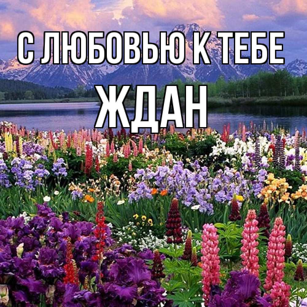 Открытка  с именем. Ждан, С любовью к тебе  