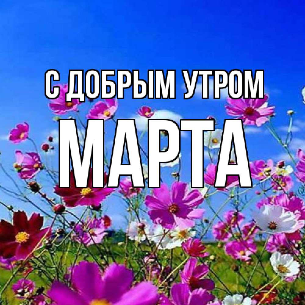 Открытка  с именем. Марта, С добрым утром  