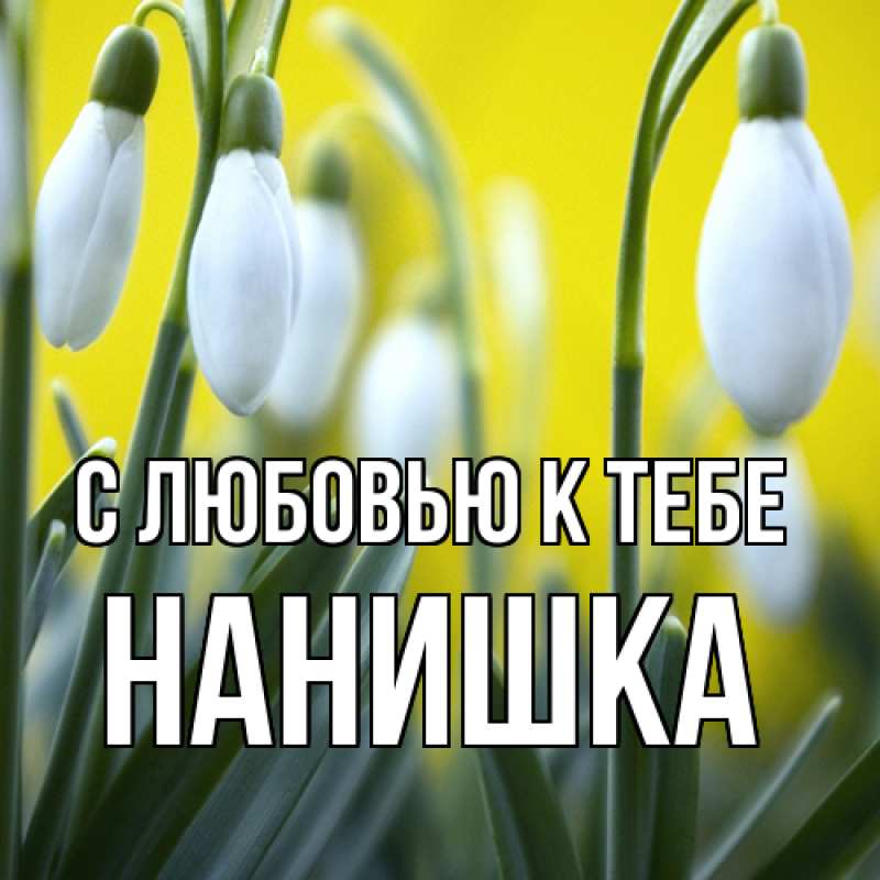 Картинка С любовью к тебе, Нанишка
