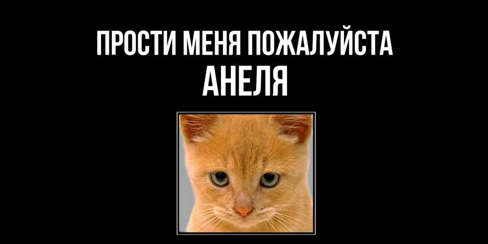 Открытка  с именем. Анеля, Прости меня пожалуйста  