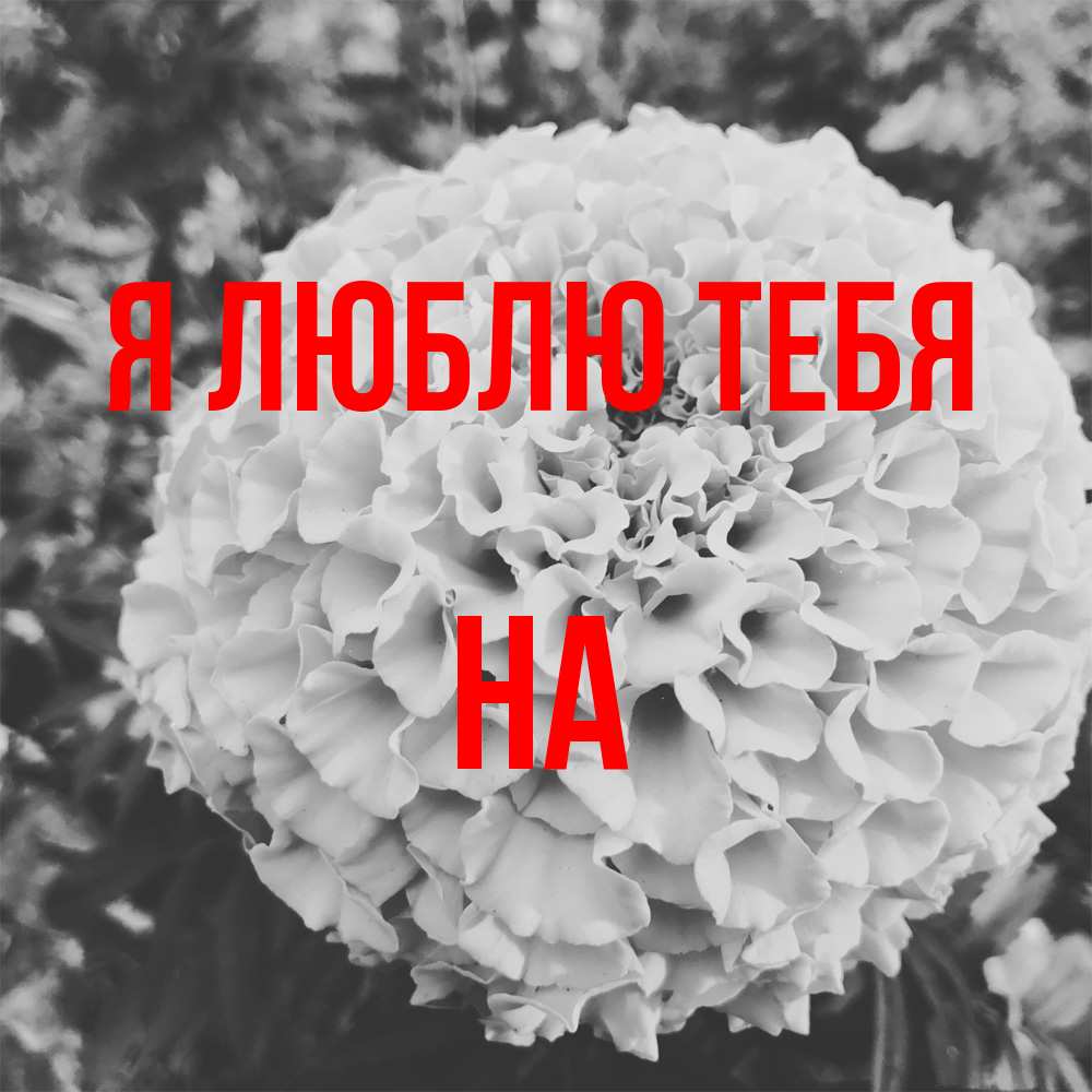Открытка  с именем. на, Я люблю тебя  