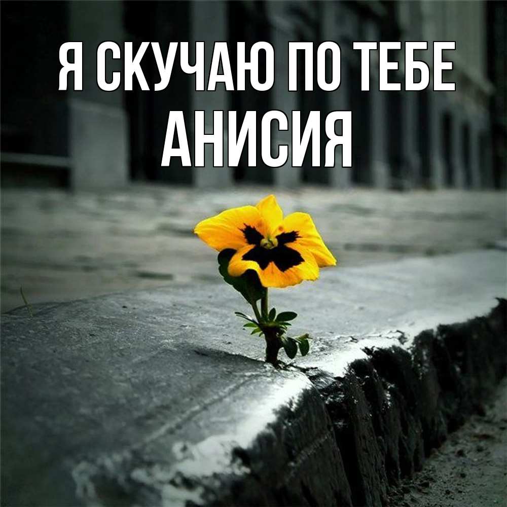 Открытка  с именем. Анисия, Я скучаю по тебе  