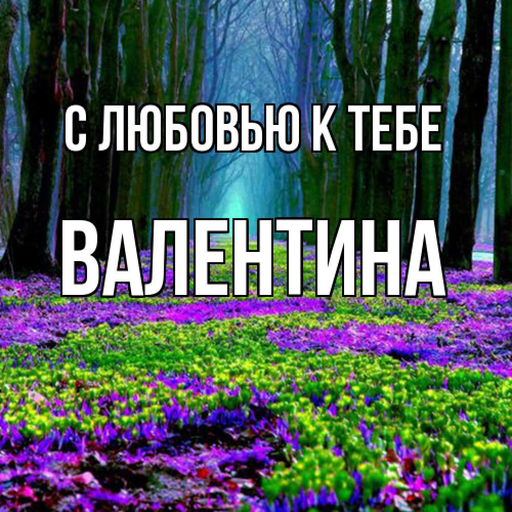 Открытка  с именем. валентина, С любовью к тебе  