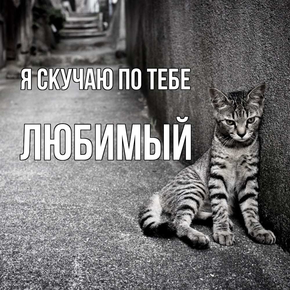 Открытка  с именем. Любимый, Я скучаю по тебе  