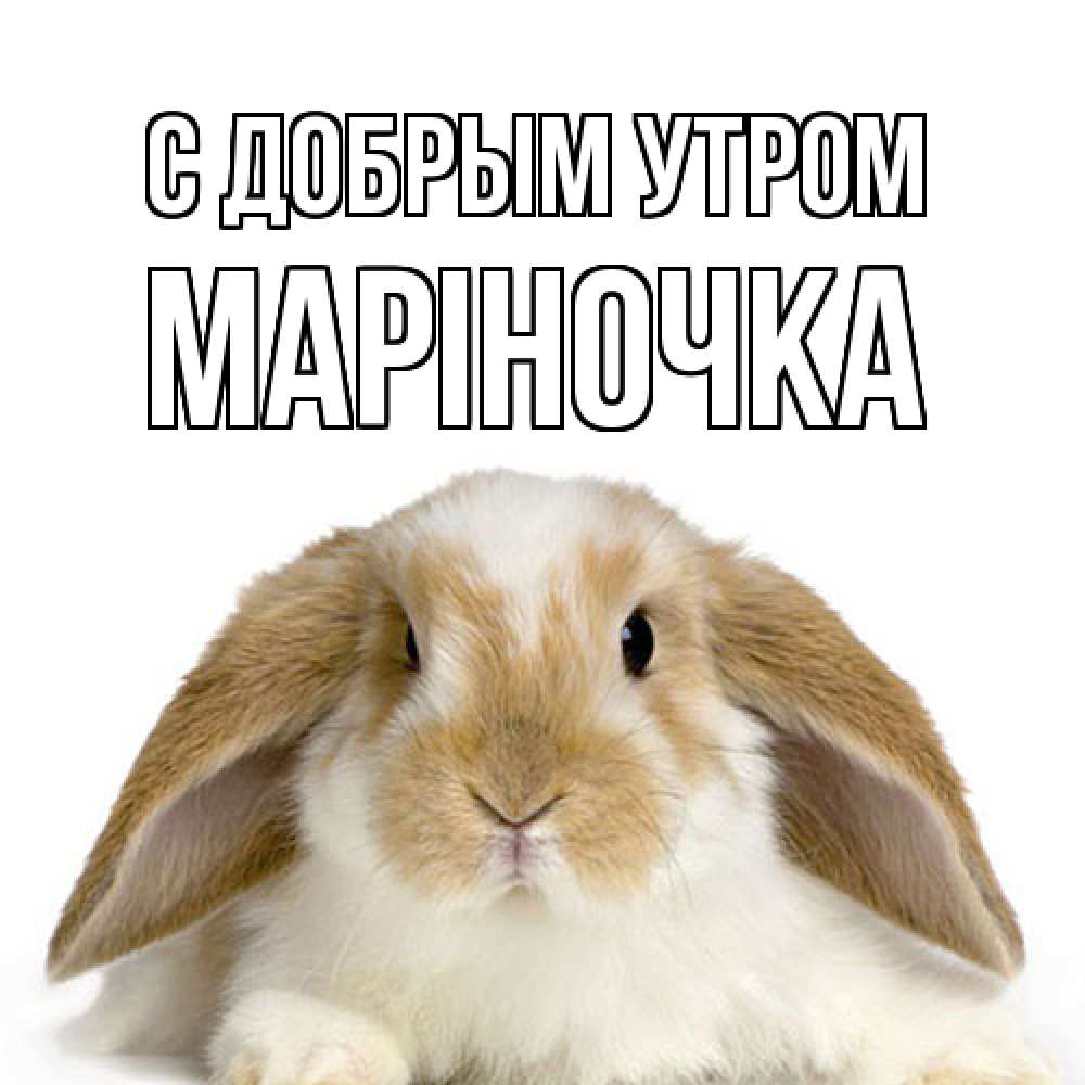 Открытка  с именем. Маріночка, С добрым утром  