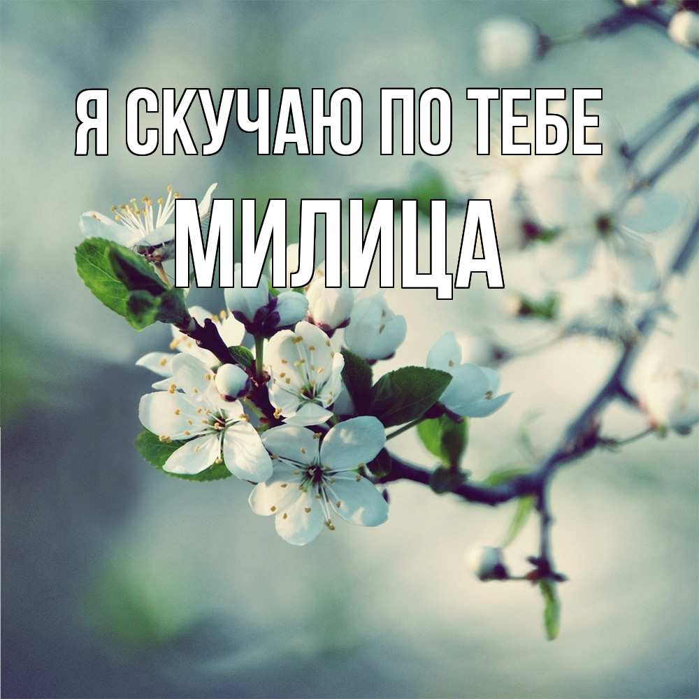 Открытка  с именем. Милица, Я скучаю по тебе  