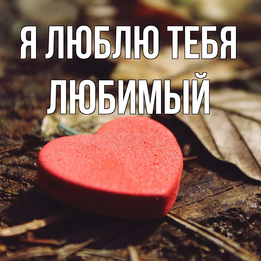 Открытка  с именем. Любимый, Я люблю тебя  