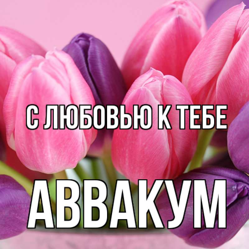 Картинка С любовью к тебе, Аввакум