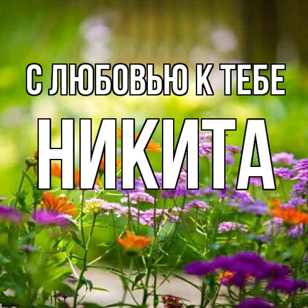 Открытка  с именем. Никита, С любовью к тебе  