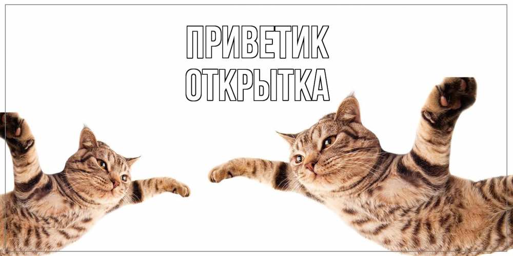 Открытка  с именем. открытка, приветик  