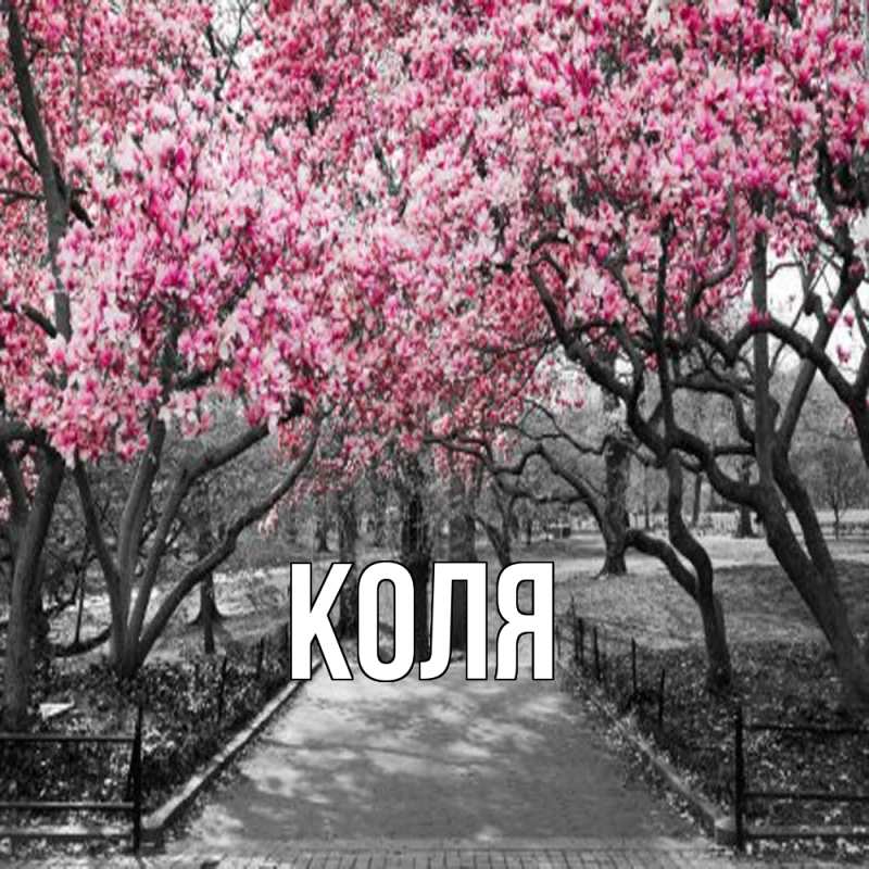 Картинка  с именем , коля