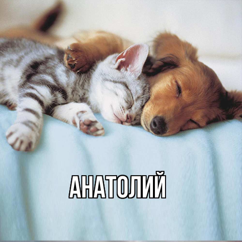 Открытка  с именем. Анатолий, Главная  