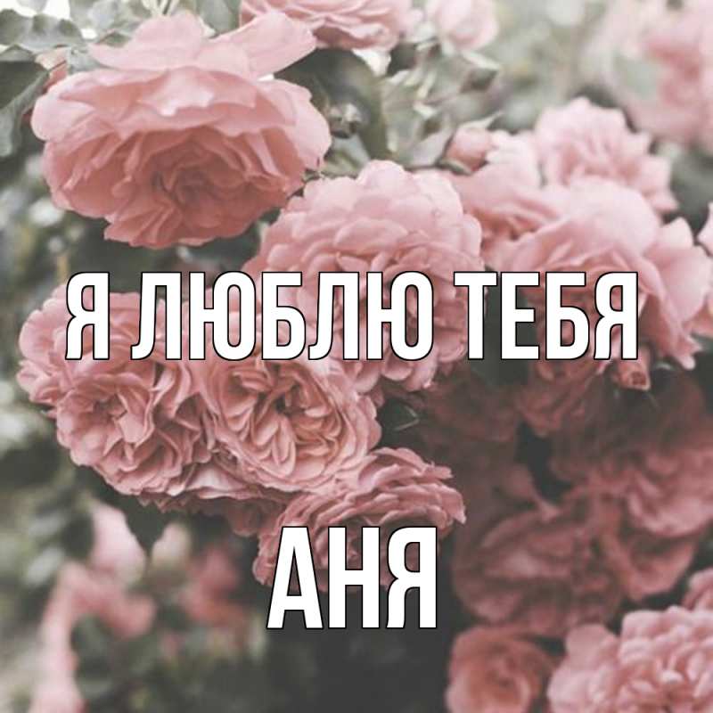 Картинка Я люблю тебя, Аня