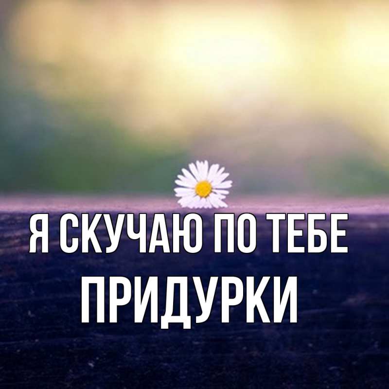 Картинка Я скучаю по тебе, Придурки