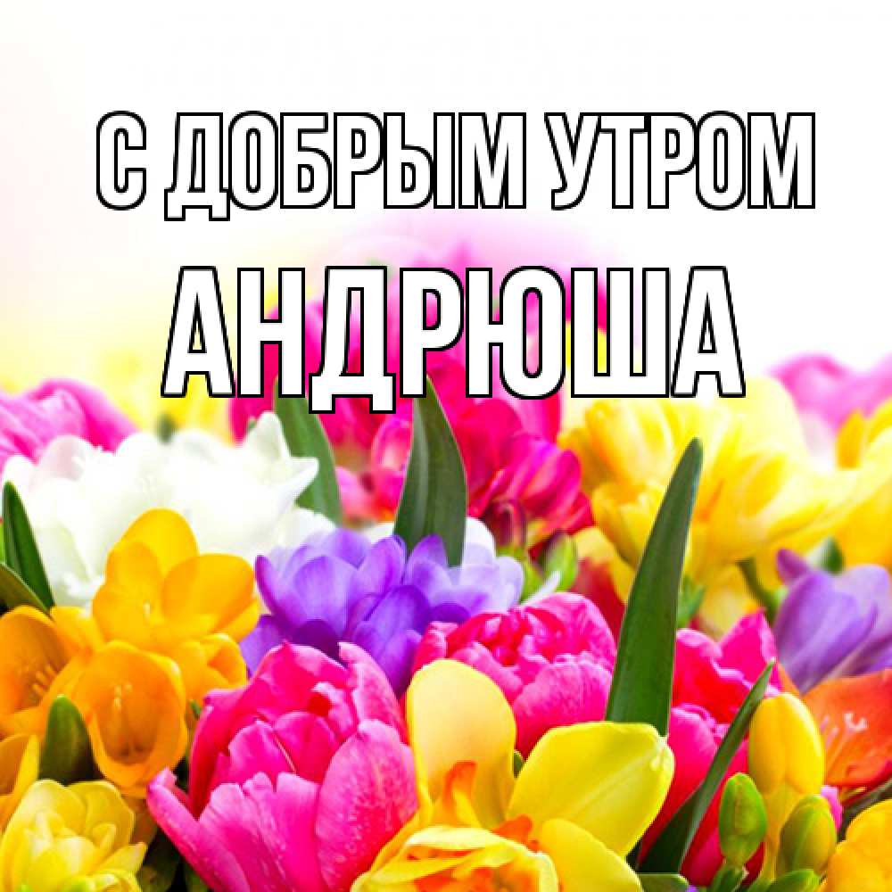 Открытка  с именем. Андрюша, С добрым утром  