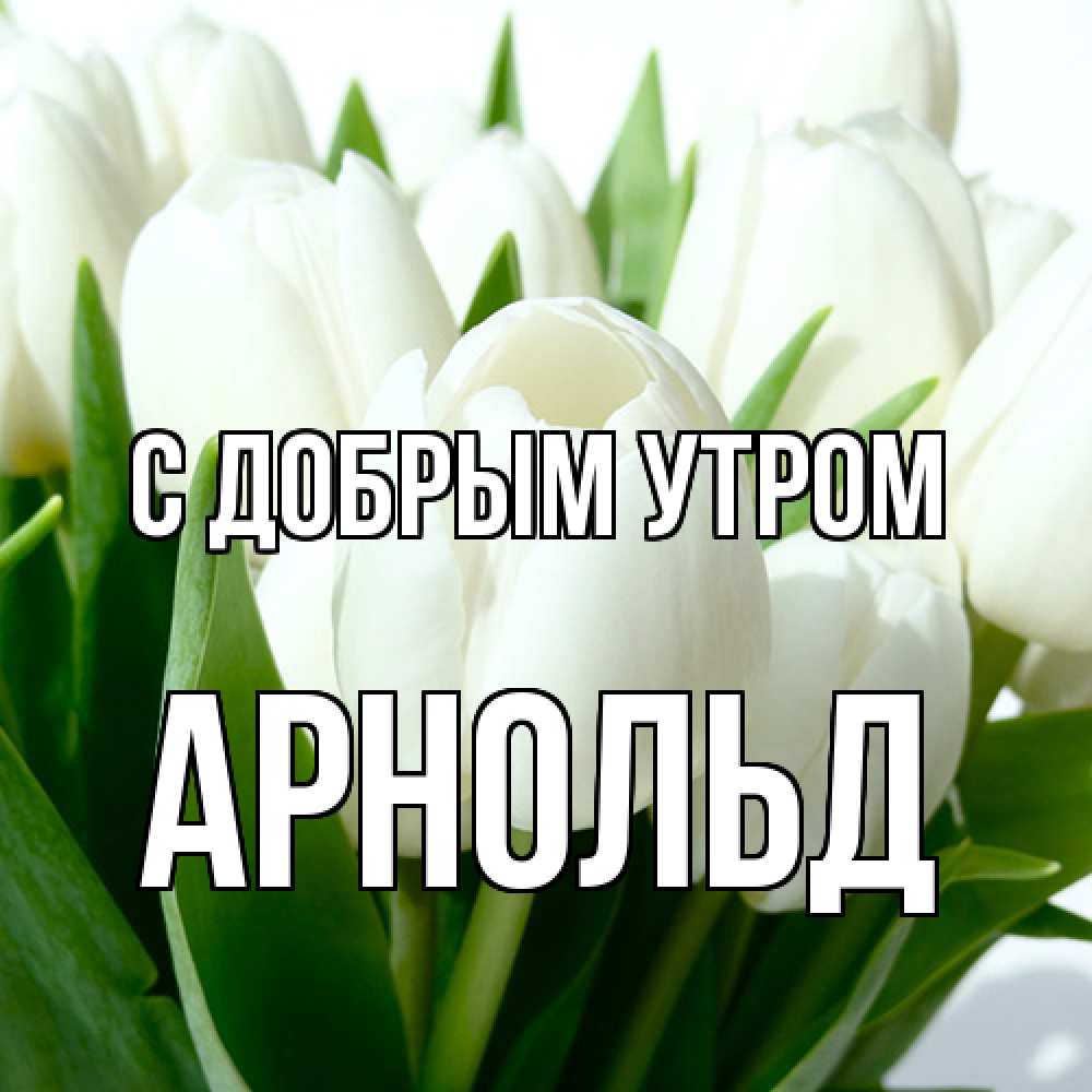 Открытка  с именем. Арнольд, С добрым утром  