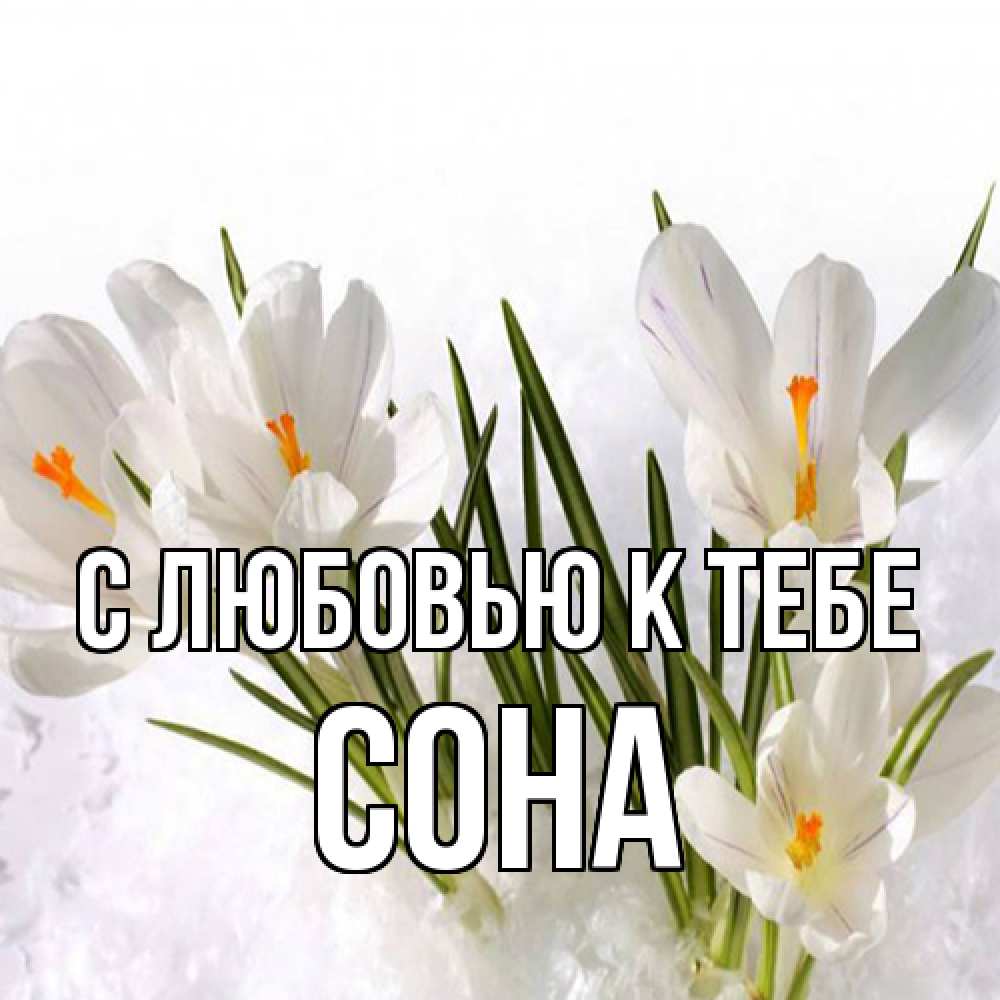 Открытка  с именем. СОНА, С любовью к тебе  