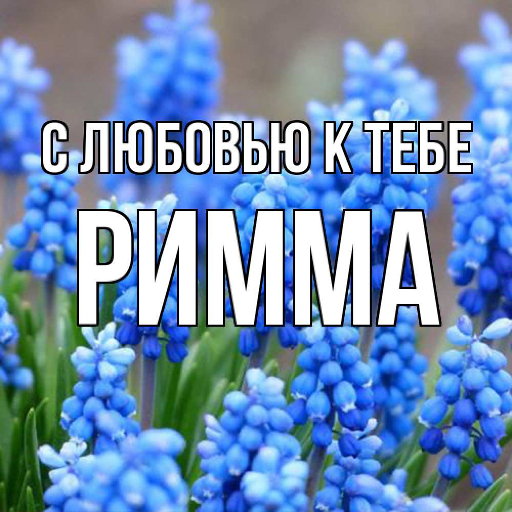 Открытка  с именем. Римма, С любовью к тебе  