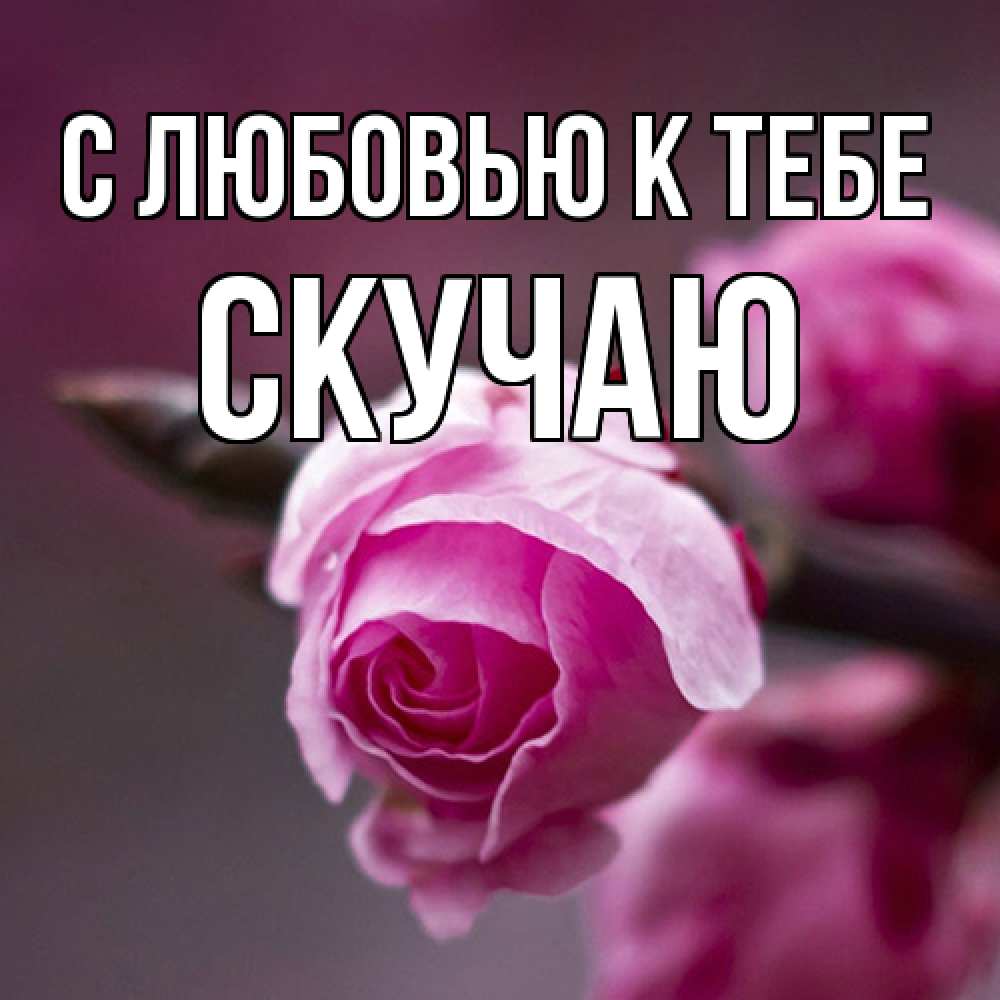 Открытка  с именем. Скучаю, С любовью к тебе  