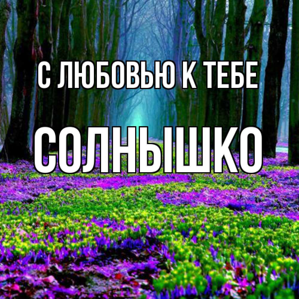 Открытка  с именем. Солнышко, С любовью к тебе  