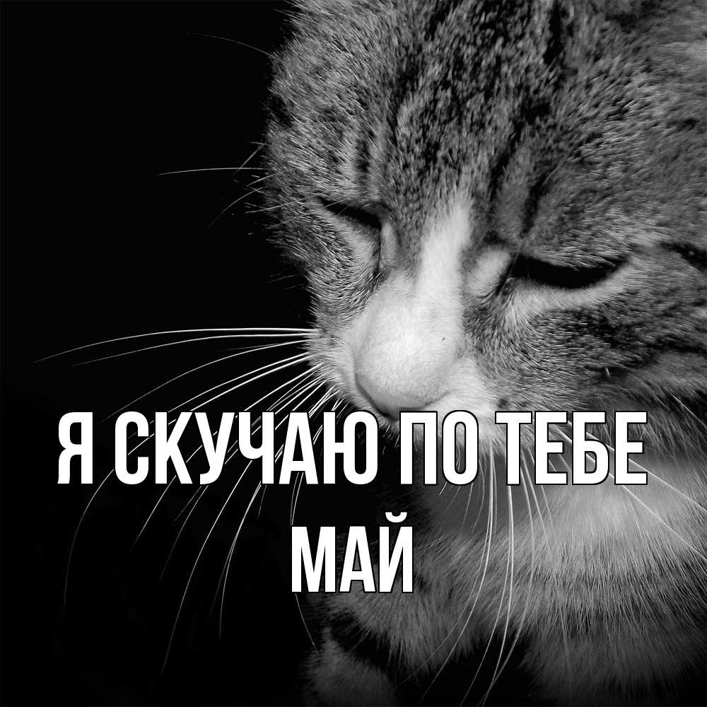 Открытка  с именем. Май, Я скучаю по тебе  