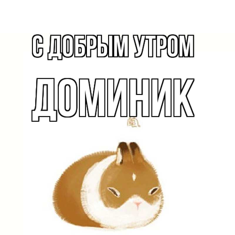 Картинка С добрым утром, Доминик