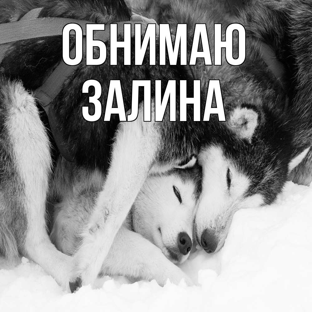 Открытка  с именем. Залина, Обнимаю  
