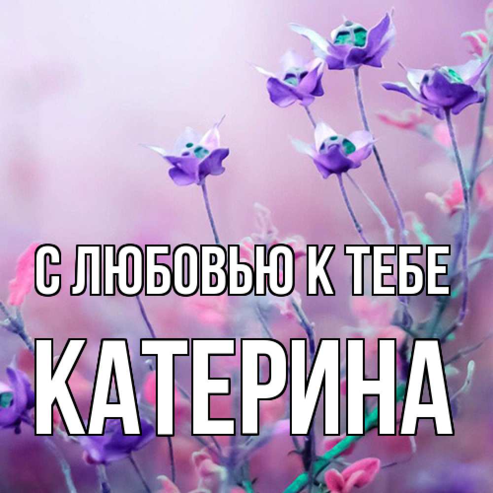 Открытка  с именем. Катерина, С любовью к тебе  