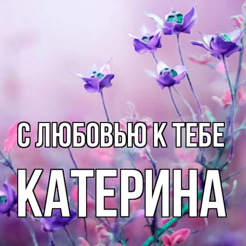Картинка С любовью к тебе, Катерина