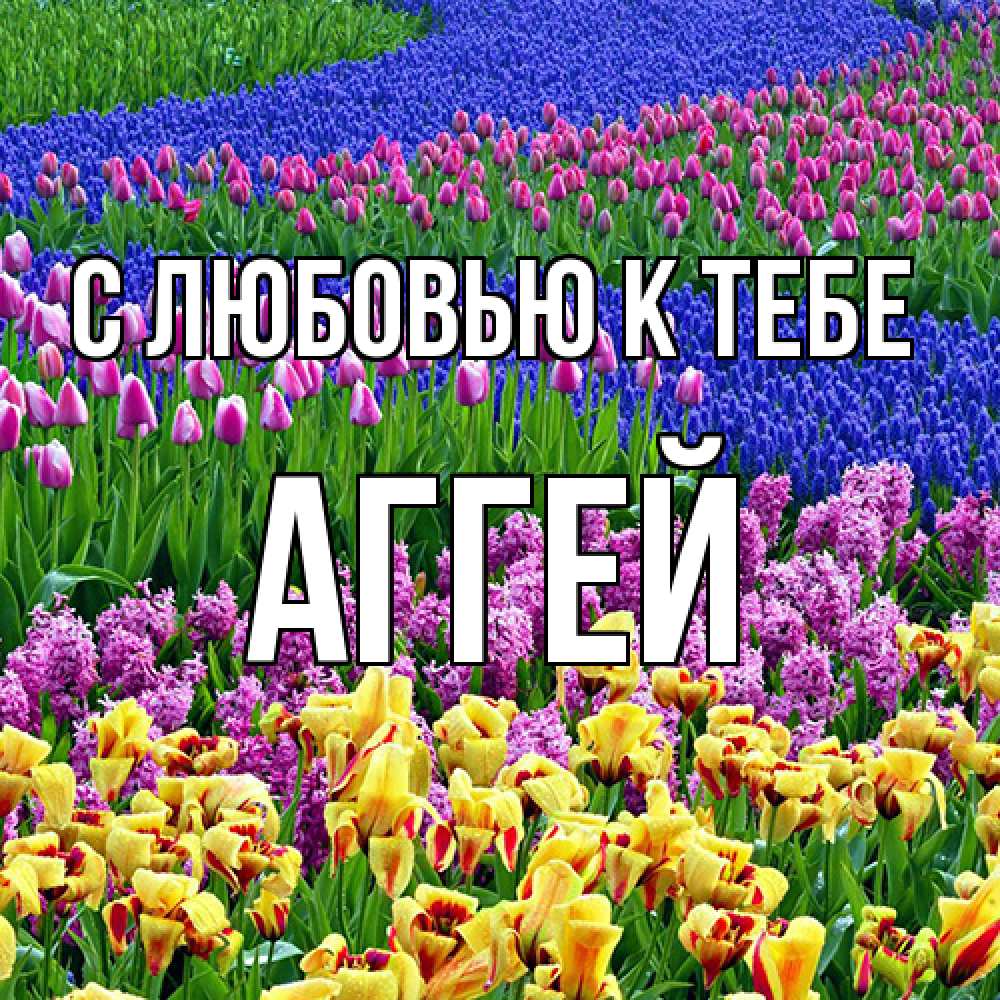 Открытка  с именем. Аггей, С любовью к тебе  