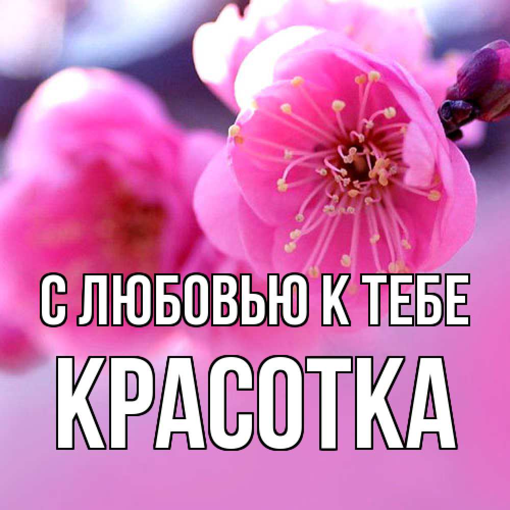 Открытка  с именем. Красотка, С любовью к тебе  
