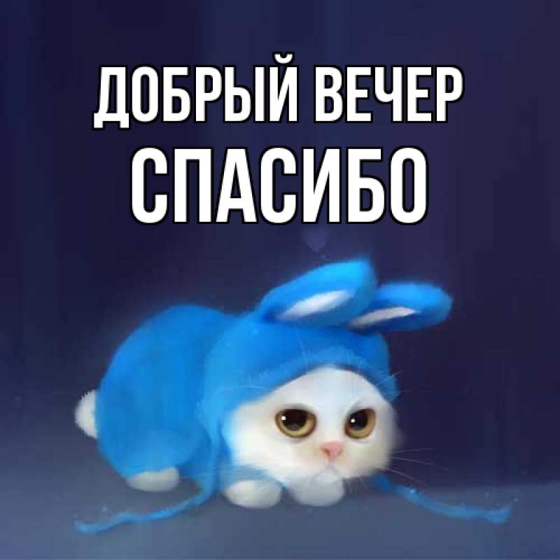 Картинка Добрый вечер, СПАСИБО