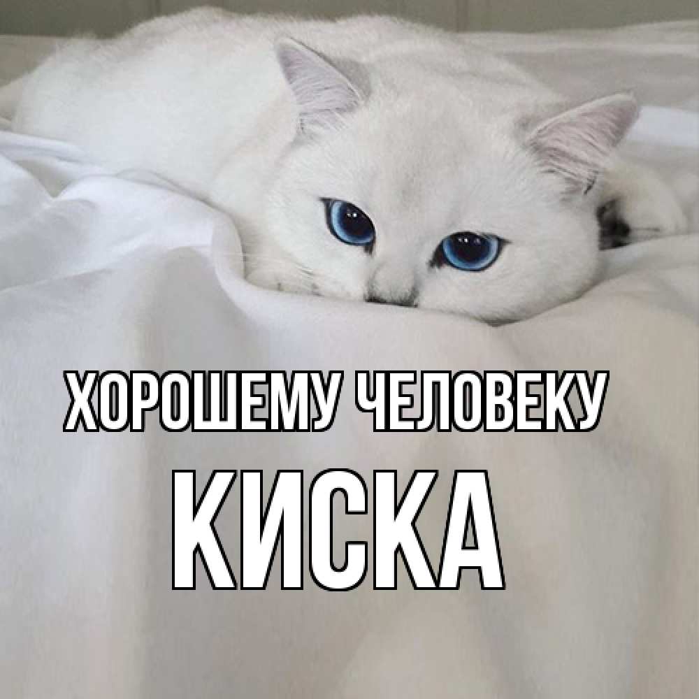 Открытка  с именем. Киска, Хорошему человеку  