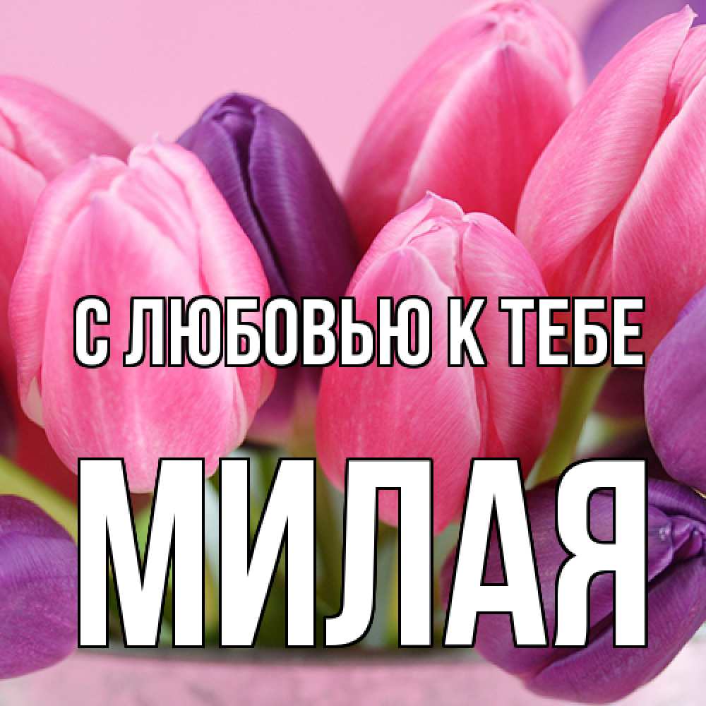 Открытка  с именем. МИЛАЯ, С любовью к тебе  